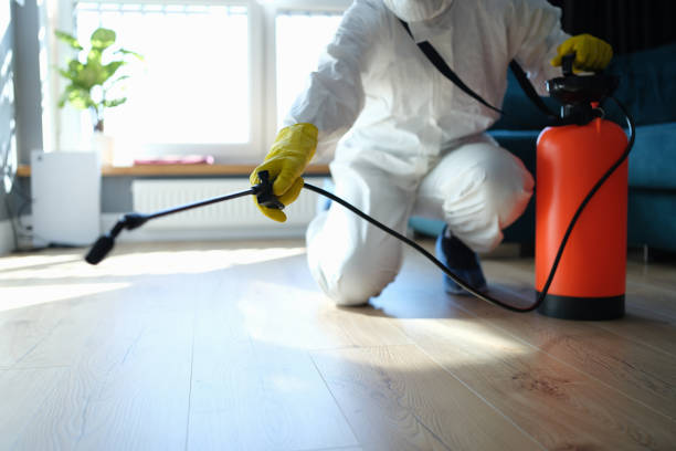 Best Pest Prevention Services  in Level Plains, AL